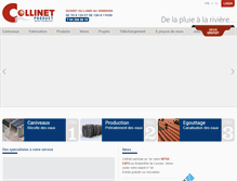 Tablet Screenshot of collinet.be